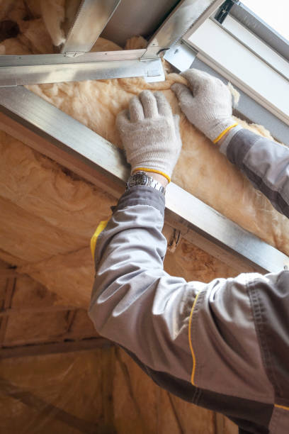 Best Residential Insulation Services  in Centerville, IN